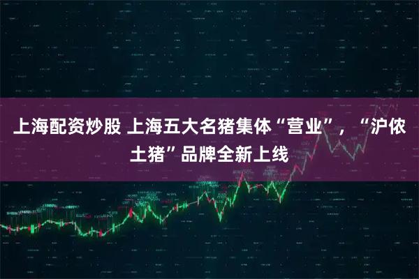 上海配资炒股 上海五大名猪集体“营业”，“沪侬土猪”品牌全新上线