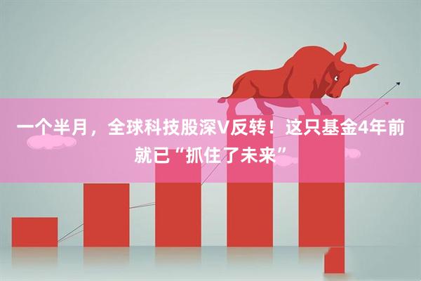 一个半月，全球科技股深V反转！这只基金4年前就已“抓住了未来”