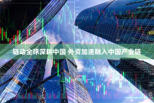 链动全球深耕中国 外资加速融入中国产业链