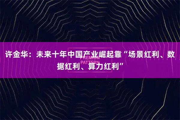 许金华：未来十年中国产业崛起靠“场景红利、数据红利、算力红利”