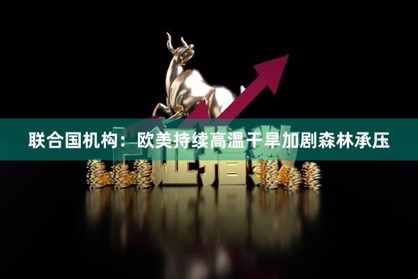 联合国机构：欧美持续高温干旱加剧森林承压